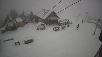 Triostjan 24 styczeń 2026 rok, 2026-01-24 10:00