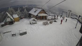 Triostjan 25 styczeń 2026 rok, 2026-01-25 10:00