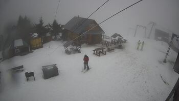 Triostjan 27 styczeń 2026 rok, 2026-01-27 10:00