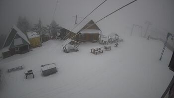 Triostjan 29 styczeń 2026 rok, 2026-01-29 10:00