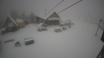 Triostjan 29 styczeń 2026 rok, 2026-01-29 13:00