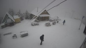 Triostjan 30 styczeń 2026 rok, 2026-01-30 13:00