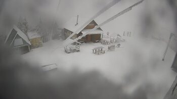 Triostjan 31 styczeń 2026 rok 10:00