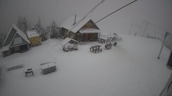 Triostjan 31 styczeń 2026 rok 16:00