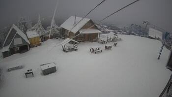 Trostian 3 february 2026 year, 2026-02-03 16:00