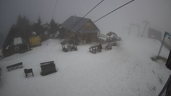 Triostjan 6 luty 2026 rok 13:00