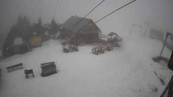 Triostjan 7 luty 2026 rok 13:00