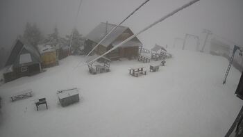 Trostian 11 february 2026 year, 2026-02-11 13:00