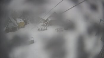 Тростян 20 лютого 2026 року 13:00