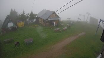 Тростян 6 червня 2026 року, 2026-06-06 13:00