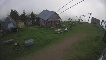 Тростян 7 червня 2026 року, 2026-06-07 10:00