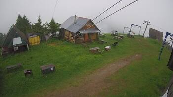 Тростян 11 червня 2026 року, 2026-06-11 10:00