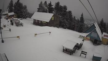 Тростян 6 березня 2019 року, 2019-03-06 10:00