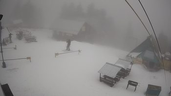 Тростян 17 березня 2019 року, 2019-03-17 10:00