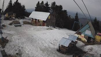 Тростян 5 квітня 2019 року, 2019-04-05 16:00
