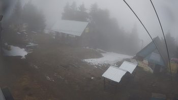 Тростян 17 квітня 2019 року, 2019-04-17 10:00