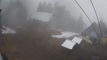 Тростян 17 квітня 2019 року, 2019-04-17 13:00