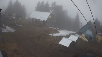 Тростян 17 квітня 2019 року, 2019-04-17 16:00