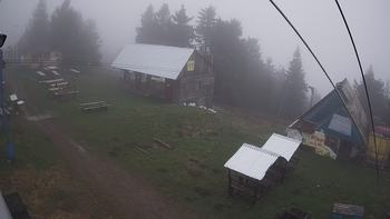 Тростян 4 травня 2019 року, 2019-05-04 13:00