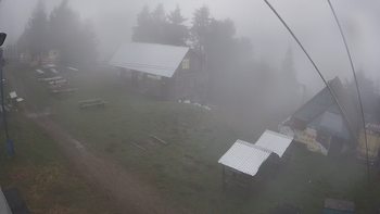 Тростян 6 травня 2019 року, 2019-05-06 13:00