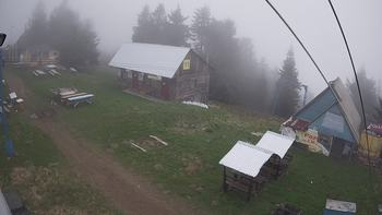Тростян 13 травня 2019 року, 2019-05-13 10:00