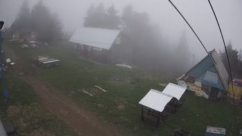 Тростян 13 травня 2019 року, 2019-05-13 16:00