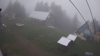 Тростян 14 травня 2019 року, 2019-05-14 10:00