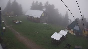 Тростян 22 травня 2019 року, 2019-05-22 13:00