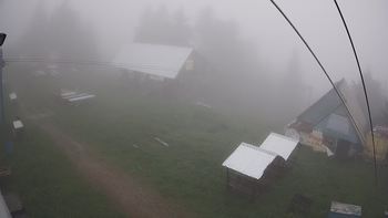 Тростян 30 травня 2019 року, 2019-05-30 16:00