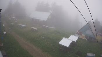 Тростян 9 червня 2019 року, 2019-06-09 10:00