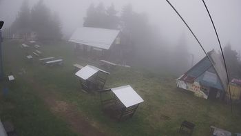 Тростян 17 червня 2019 року, 2019-06-17 10:00