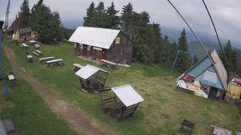 Тростян 17 червня 2019 року, 2019-06-17 13:00