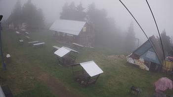 Тростян 22 червня 2019 року, 2019-06-22 16:00