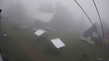 Тростян 7 липня 2019 року, 2019-07-07 10:00