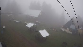 Тростян 26 вересня 2019 року, 2019-09-26 10:00