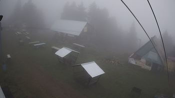 Тростян 28 вересня 2019 року, 2019-09-28 10:00
