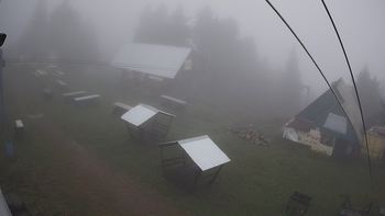 Тростян 29 вересня 2019 року, 2019-09-29 10:00