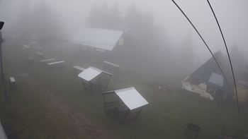 Тростян 30 вересня 2019 року, 2019-09-30 10:00