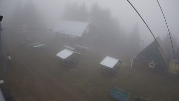 Тростян 28 жовтня 2019 року, 2019-10-28 13:00