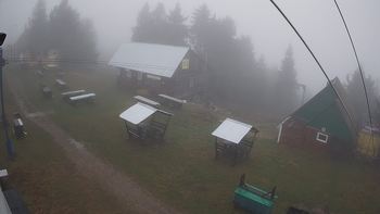 Тростян 7 листопада 2019 року, 2019-11-07 16:00