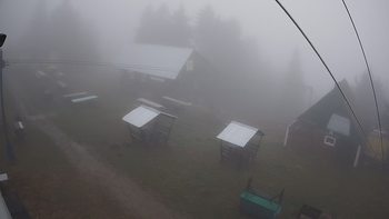 Тростян 15 листопада 2019 року, 2019-11-15 13:00