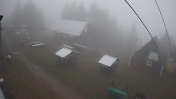 Тростян 15 листопада 2019 року, 2019-11-15 16:00