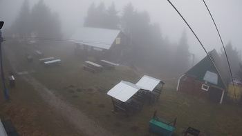 Тростян 28 листопада 2019 року, 2019-11-28 13:00