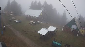 Тростян 29 листопада 2019 року, 2019-11-29 13:00