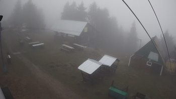 Тростян 29 листопада 2019 року, 2019-11-29 16:00