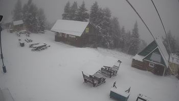 Тростян 11 грудня 2019 року, 2019-12-11 10:00