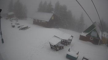 Тростян 13 грудня 2019 року, 2019-12-13 16:00