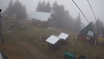 Тростян 21 грудня 2019 року, 2019-12-21 10:00