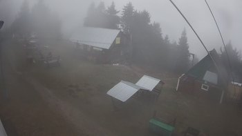 Тростян 23 грудня 2019 року, 2019-12-23 16:00