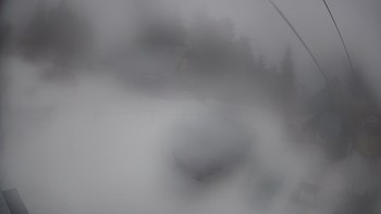 Тростян 4 березня 2020 року, 2020-03-04 16:00